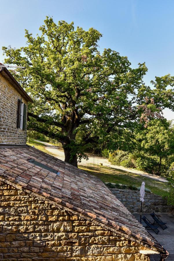 Appartement L'Abbraccio Della Quercia à Momjan Extérieur photo