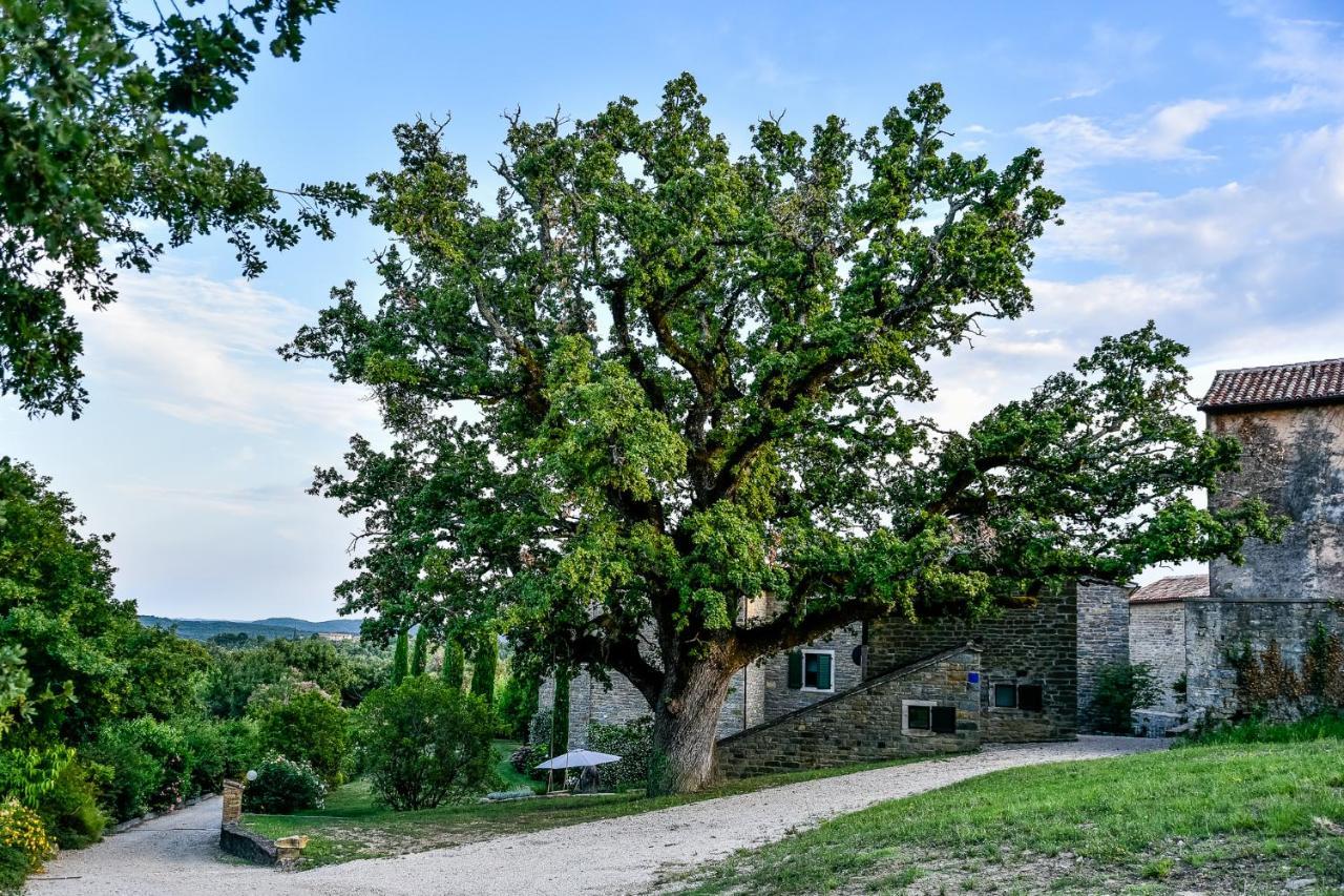 Appartement L'Abbraccio Della Quercia à Momjan Extérieur photo